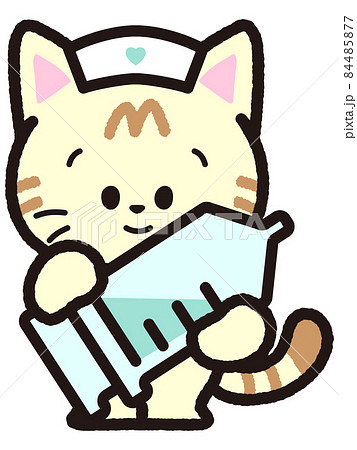 注射を持つ茶トラ猫 注射を持つ茶トラ猫 84485877