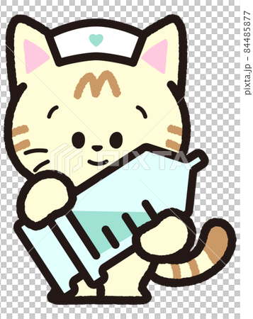 Tea tabby cat with injection 84485877