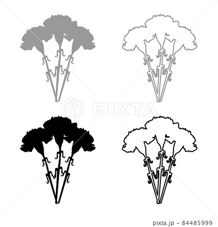 Bouquet of flowers Carnation set icon grey black color vector illustration image flat style solid fill outline contour line thin 84485999