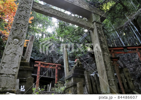 印象鳥居 84486607