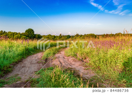Scenic country road leading through the field to the blue sky in the early morning Scenic country road leading through the field to the blue sky in the early morning 84486736