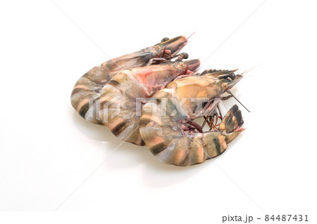 fresh tiger prawn or shrimp 84487431