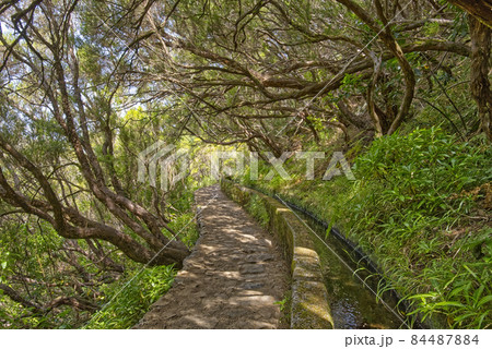 nice scenery with water in Maderira island nice scenery with water in Maderira island 84487884