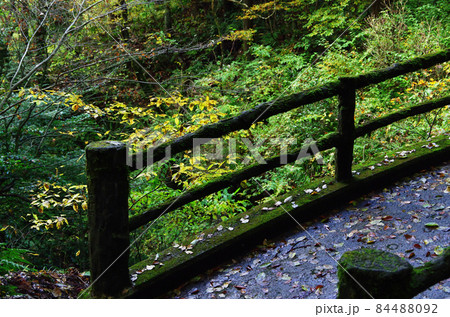 太鼓橋の欄干（荒川剣龍峡） 84488092