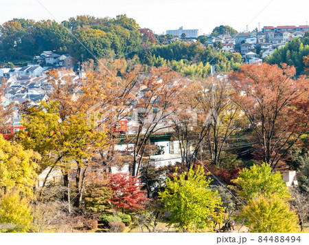 秋の景色 美しい紅葉が彩る公園 秋の景色 美しい紅葉が彩る公園 84488494
