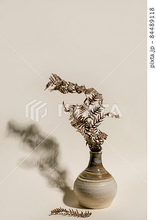 Dry fern branch in black ceramic bottle Dry fern branch in black ceramic bottle 84489118