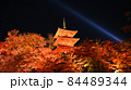 清水寺 84489344