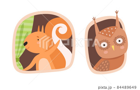 Cute Owl and Squirrel Looking Out of Window in Their Cosy Burrow Vector Set 84489649