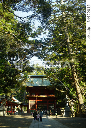 鹿島神宮 84490016