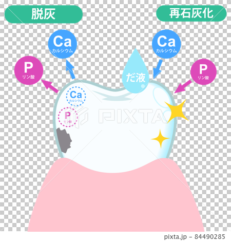 歯(イメージ) 歯(イメージ) 84490285