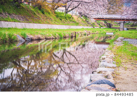 京都府綴喜郡井手町玉川の桜を撮影 京都府綴喜郡井手町玉川の桜を撮影 84493485