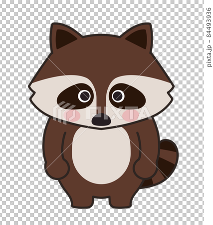 かわいいアライグマのイラスト 全身のイラスト素材