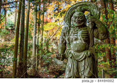 両子寺仁王像と紅葉 84494002