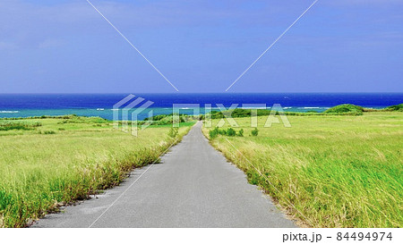 沖縄県伊江島の海へ広がる夏はサトウキビ畑である一本道の写真素材