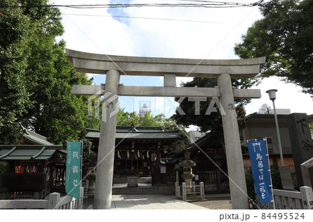 上野　下谷神社 84495524