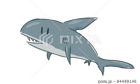 ゆるいサメの手書きイラストのイラスト素材