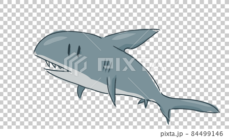 ゆるいサメの手書きイラストのイラスト素材