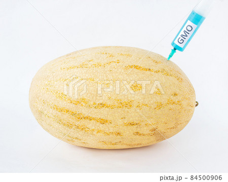 Melon on a white background in which enter gmo and nitrates, close-up, genetically modified organism, melon, nitrates Melon on a white background in which enter gmo and nitrates, close-up, genetically modified organism, melon, nitrates 84500906
