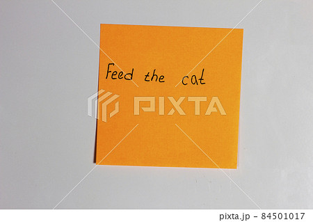 Orange sticker on the refrigerator door with an inscription Feed the cat Orange sticker on the refrigerator door with an inscription Feed the cat 84501017