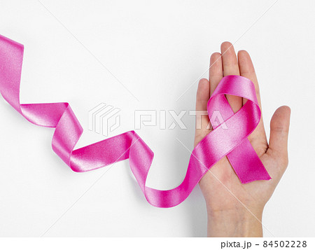 palm with pink ribbon. High quality photo palm with pink ribbon. High quality photo 84502228