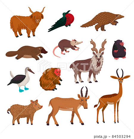 Wild animsls vector set, rare endandered animals. Flat style cartoon Vector illustration. 84503294
