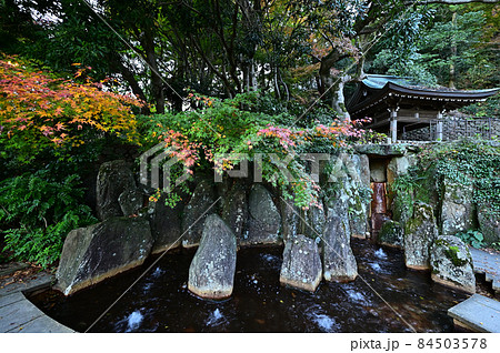炭酸泉源公園の紅葉 炭酸泉源公園の紅葉 84503578