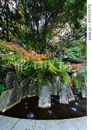 炭酸泉源公園の紅葉 炭酸泉源公園の紅葉 84503579