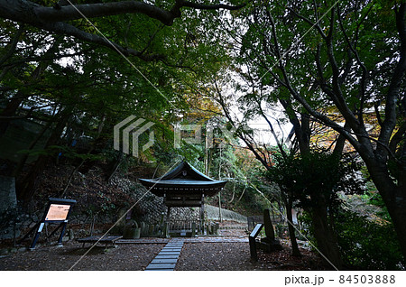 炭酸泉源公園の紅葉 炭酸泉源公園の紅葉 84503888