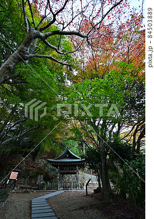 炭酸泉源公園の紅葉 炭酸泉源公園の紅葉 84503889
