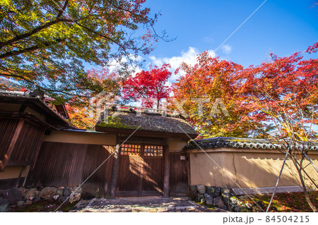 京都 宝厳院の紅葉 京都 宝厳院の紅葉 84504215