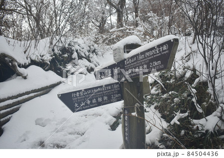 大山 84504436