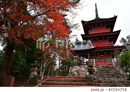柏原八幡神社の紅葉 柏原八幡神社の紅葉 84504758