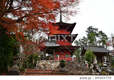 柏原八幡神社の紅葉 84504759