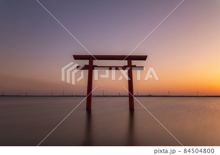 茨城県鹿島市 夕暮れの鹿島神宮西の一之鳥居 茨城県鹿島市 夕暮れの鹿島神宮西の一之鳥居 84504800