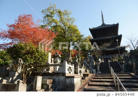 秋の金戒光明寺　三重塔　京都市左京区黒谷 84505440