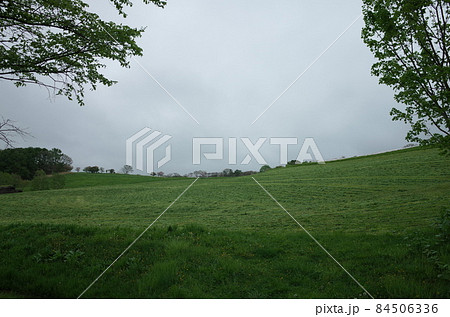 草原_北海道 草原_北海道 84506336