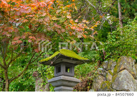 小菅神社の石灯籠 小菅神社の石灯籠 84507660