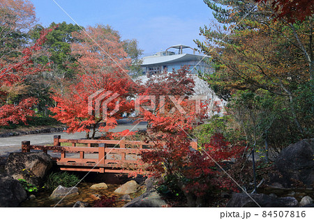 香川用水記念公園の紅葉 84507816
