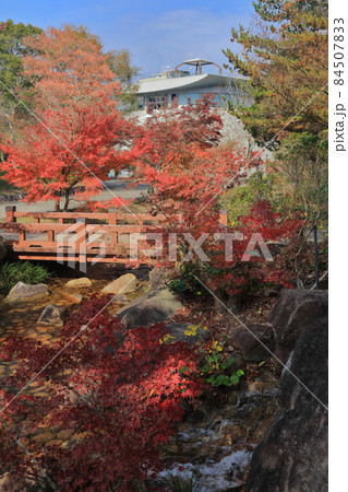 香川用水記念公園の紅葉 香川用水記念公園の紅葉 84507833