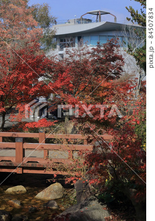 香川用水記念公園の紅葉 84507834