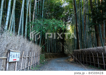 松阪　美濃田竹林街道 84509428