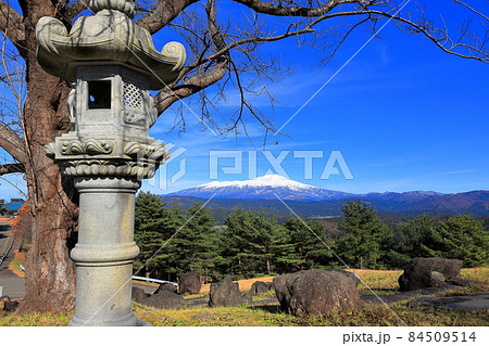 眺海の森 眺海の森 84509514