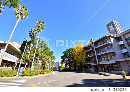 長崎大学　国立大学法人長崎大学　長崎大学文教町キャンパス　 84510226