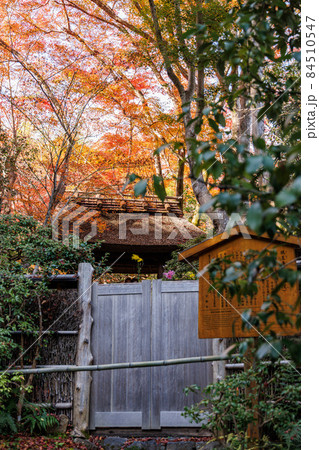 祇王寺　紅葉 84510547