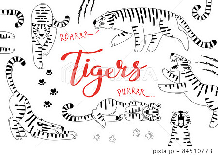 Card with cute tigers, paw prints and scratches. Tiger is the Zodiac Symbol of the 2022 New Year 84510773