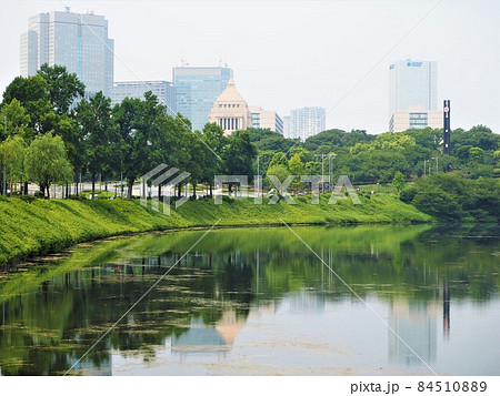 皇居外苑の風景 皇居外苑の風景 84510889
