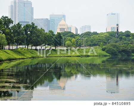 皇居外苑の風景 皇居外苑の風景 84510895