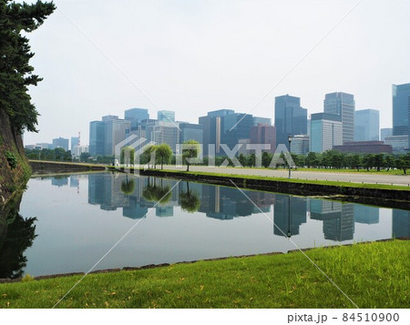 皇居外苑の風景 皇居外苑の風景 84510900