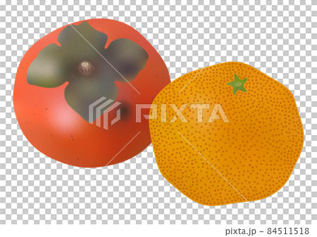 露天產品的成熟“柿子”和“早橙” 84511518