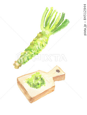 水彩で描いたすりおろしたワサビのイラスト 84512944